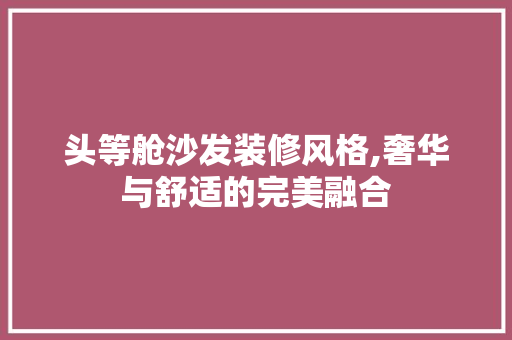 头等舱沙发装修风格,奢华与舒适的完美融合