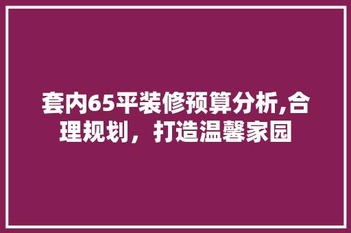 套内65平装修预算分析,合理规划，打造温馨家园