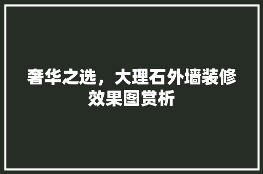 奢华之选，大理石外墙装修效果图赏析