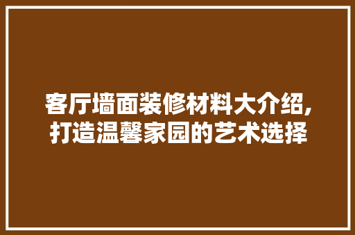 客厅墙面装修材料大介绍,打造温馨家园的艺术选择