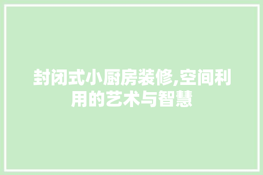 封闭式小厨房装修,空间利用的艺术与智慧