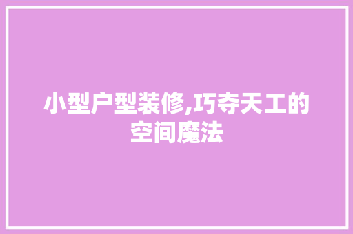 小型户型装修,巧夺天工的空间魔法