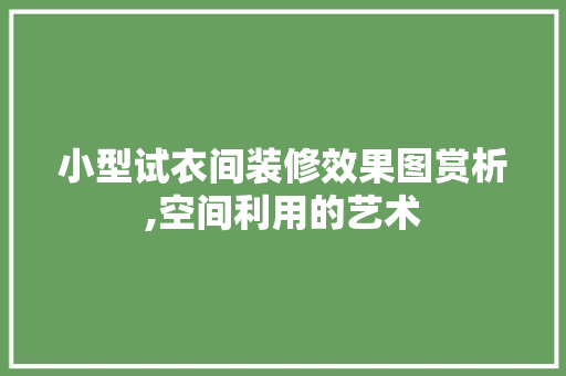 小型试衣间装修效果图赏析,空间利用的艺术