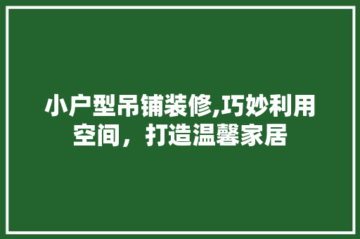 小户型吊铺装修,巧妙利用空间，打造温馨家居