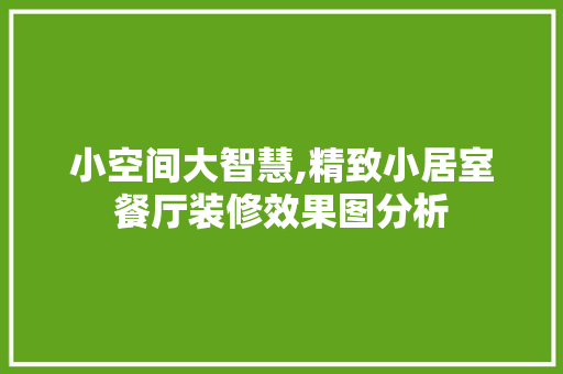 小空间大智慧,精致小居室餐厅装修效果图分析