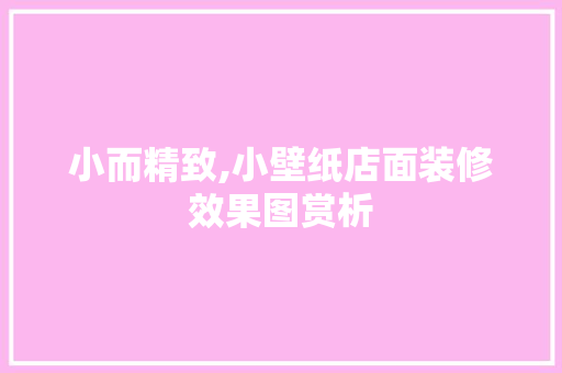 小而精致,小壁纸店面装修效果图赏析