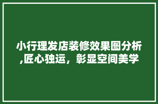 小行理发店装修效果图分析,匠心独运，彰显空间美学
