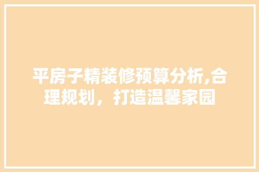 平房子精装修预算分析,合理规划，打造温馨家园