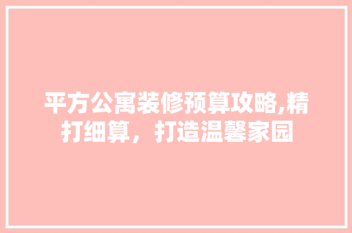 平方公寓装修预算攻略,精打细算，打造温馨家园