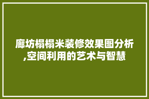廊坊榻榻米装修效果图分析,空间利用的艺术与智慧