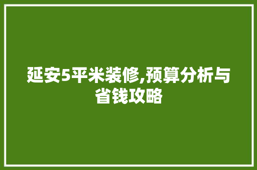 延安5平米装修,预算分析与省钱攻略