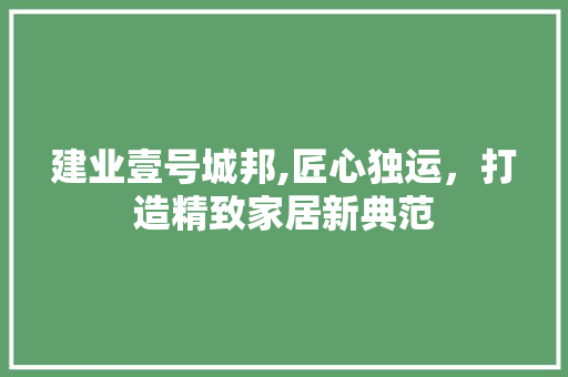 建业壹号城邦,匠心独运，打造精致家居新典范