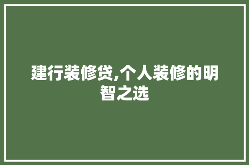 建行装修贷,个人装修的明智之选