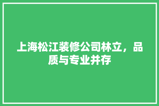 上海松江装修公司林立，品质与专业并存