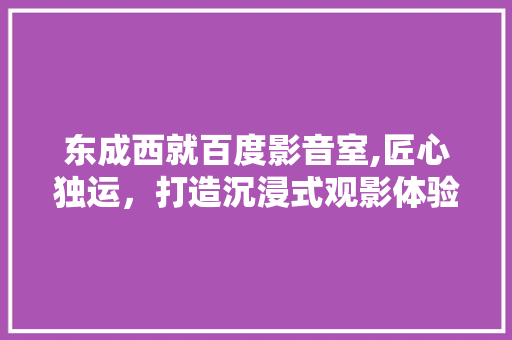东成西就百度影音室,匠心独运，打造沉浸式观影体验