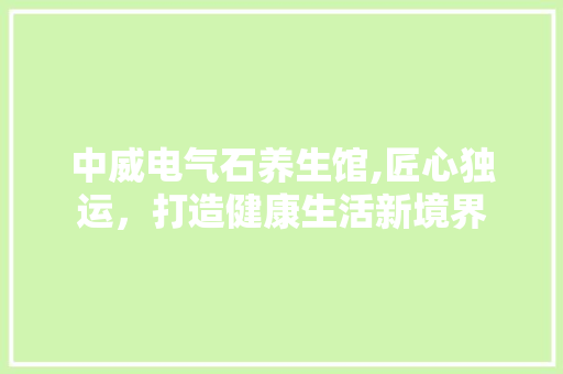 中威电气石养生馆,匠心独运，打造健康生活新境界
