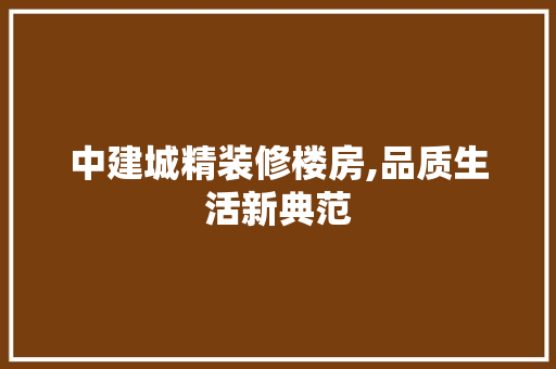 中建城精装修楼房,品质生活新典范