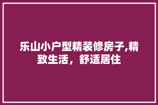 乐山小户型精装修房子,精致生活，舒适居住