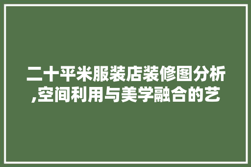 二十平米服装店装修图分析,空间利用与美学融合的艺术
