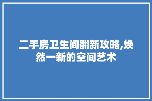二手房卫生间翻新攻略,焕然一新的空间艺术