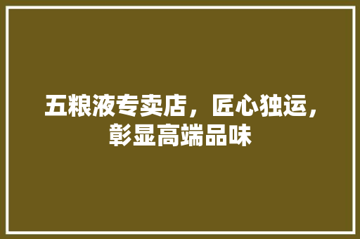 五粮液专卖店，匠心独运，彰显高端品味