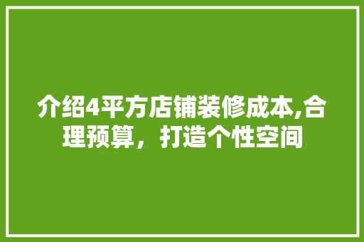 介绍4平方店铺装修成本,合理预算，打造个性空间
