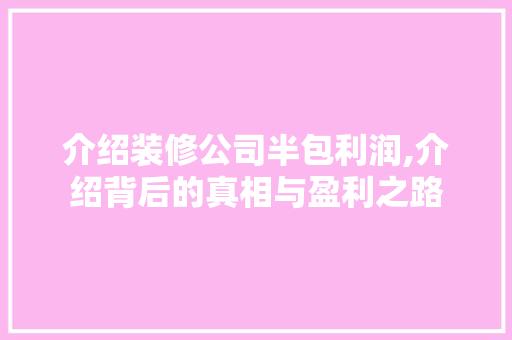 介绍装修公司半包利润,介绍背后的真相与盈利之路