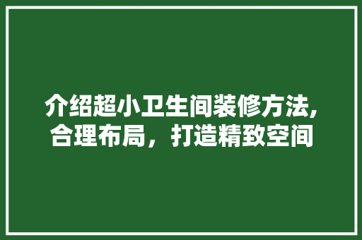 介绍超小卫生间装修方法,合理布局，打造精致空间