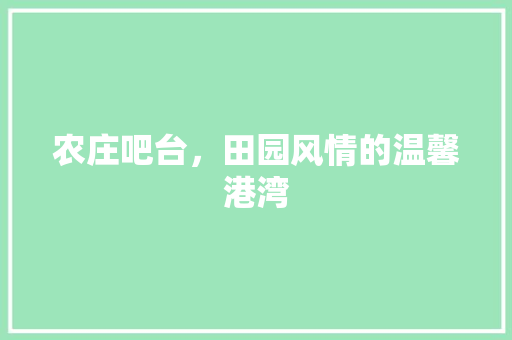 农庄吧台，田园风情的温馨港湾