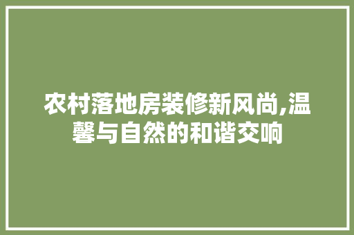 农村落地房装修新风尚,温馨与自然的和谐交响