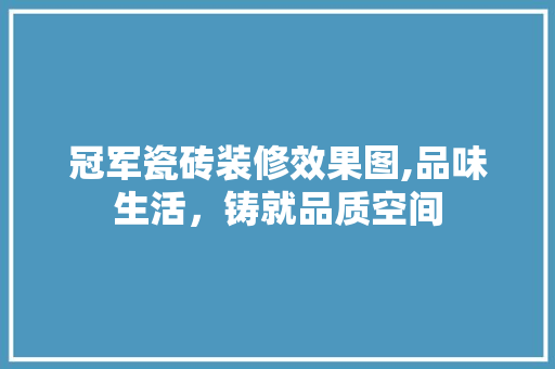 冠军瓷砖装修效果图,品味生活，铸就品质空间