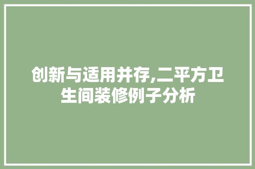 创新与适用并存,二平方卫生间装修例子分析