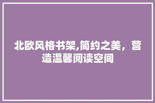北欧风格书架,简约之美，营造温馨阅读空间