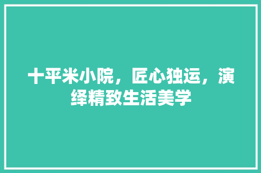 十平米小院，匠心独运，演绎精致生活美学