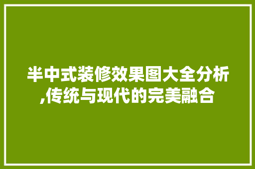 半中式装修效果图大全分析,传统与现代的完美融合