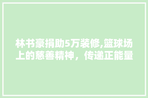 林书豪捐助5万装修,篮球场上的慈善精神，传递正能量