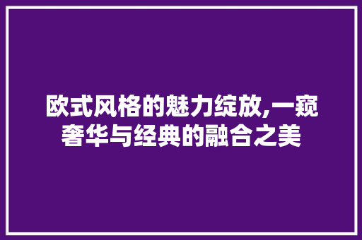 欧式风格的魅力绽放,一窥奢华与经典的融合之美