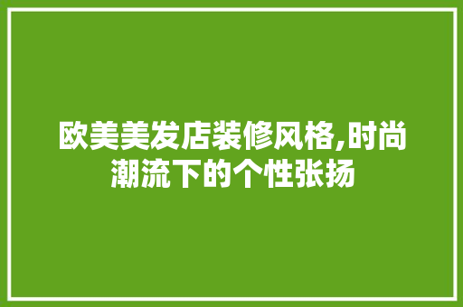 欧美美发店装修风格,时尚潮流下的个性张扬