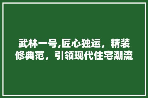 武林一号,匠心独运，精装修典范，引领现代住宅潮流