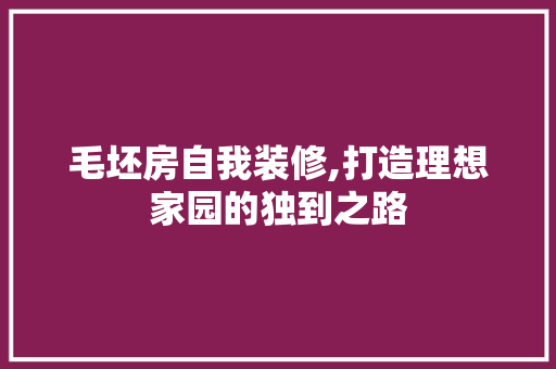 毛坯房自我装修,打造理想家园的独到之路