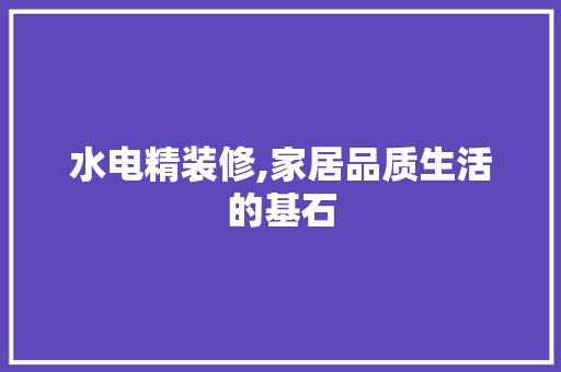 水电精装修,家居品质生活的基石