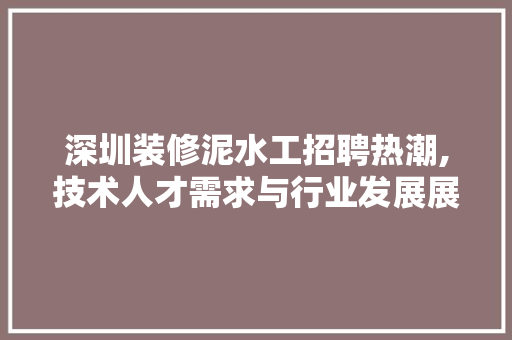 深圳装修泥水工招聘热潮,技术人才需求与行业发展展望