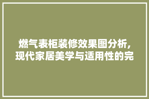 燃气表柜装修效果图分析,现代家居美学与适用性的完美融合