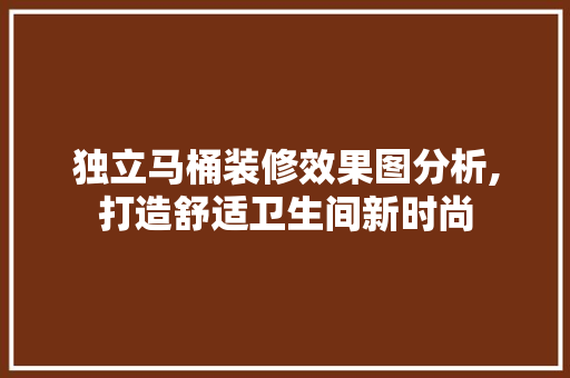 独立马桶装修效果图分析,打造舒适卫生间新时尚