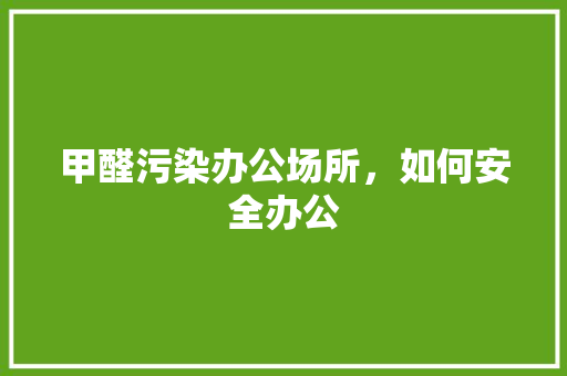 甲醛污染办公场所，如何安全办公