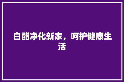 白醋净化新家，呵护健康生活