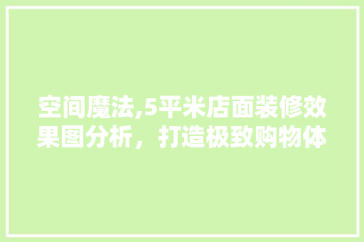 空间魔法,5平米店面装修效果图分析，打造极致购物体验