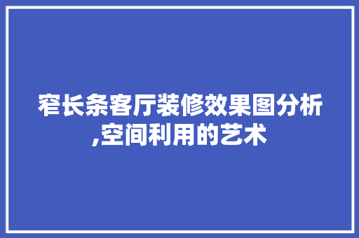 窄长条客厅装修效果图分析,空间利用的艺术