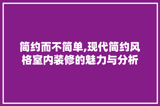 简约而不简单,现代简约风格室内装修的魅力与分析