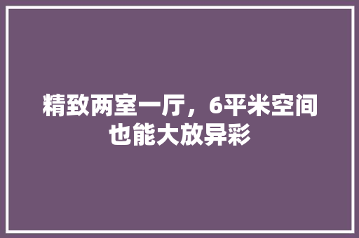 精致两室一厅，6平米空间也能大放异彩